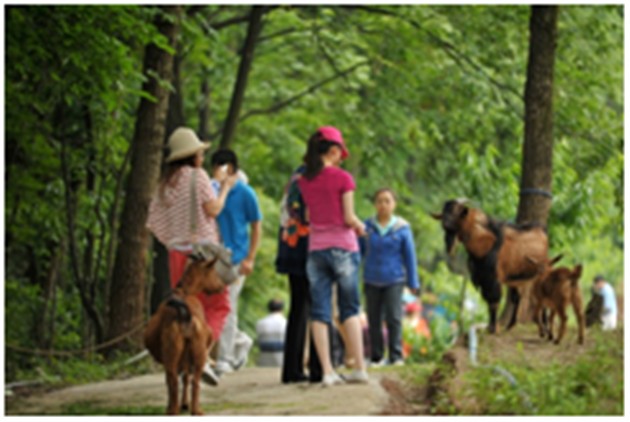 【图文】全城免费抢 周末亲子游 港宏来买单_新闻中心_易车网