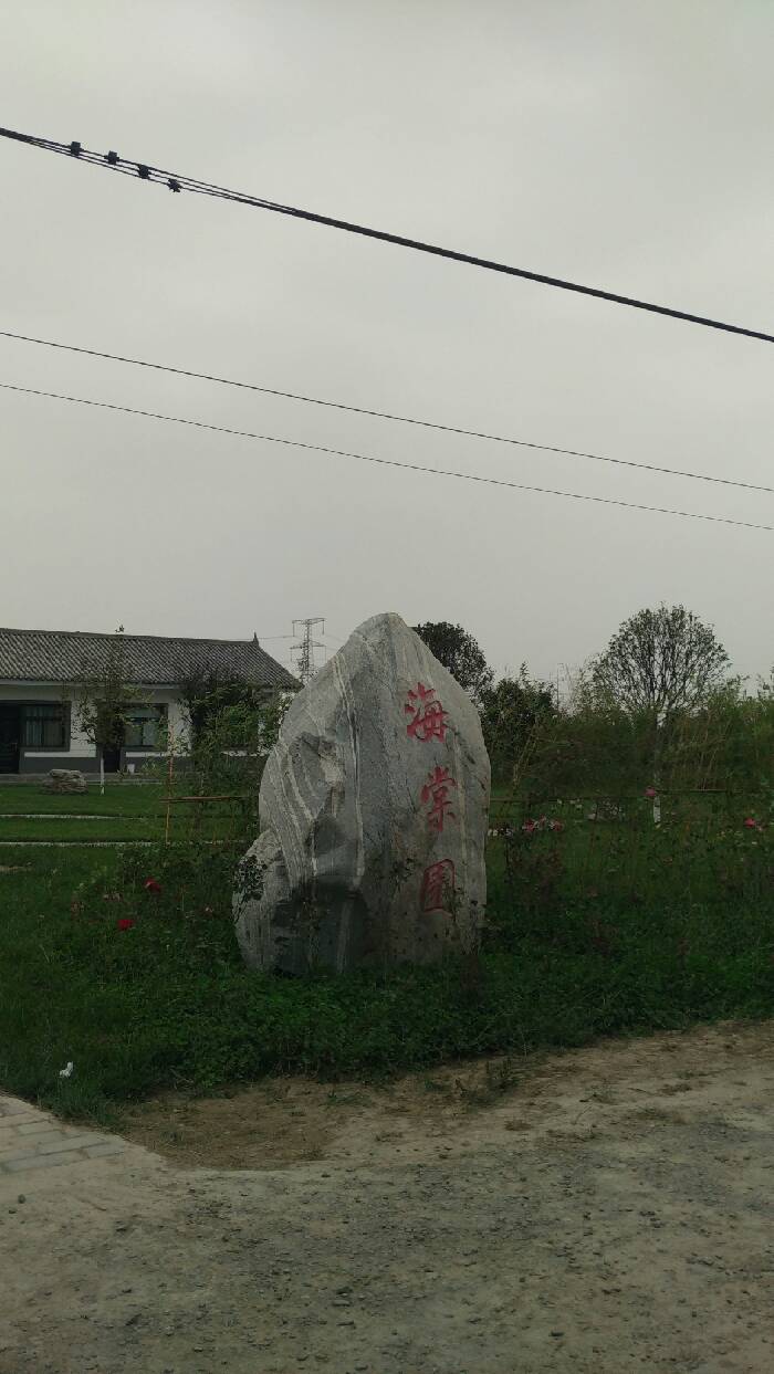 【海棠挂果了】_奇瑞QQ论坛