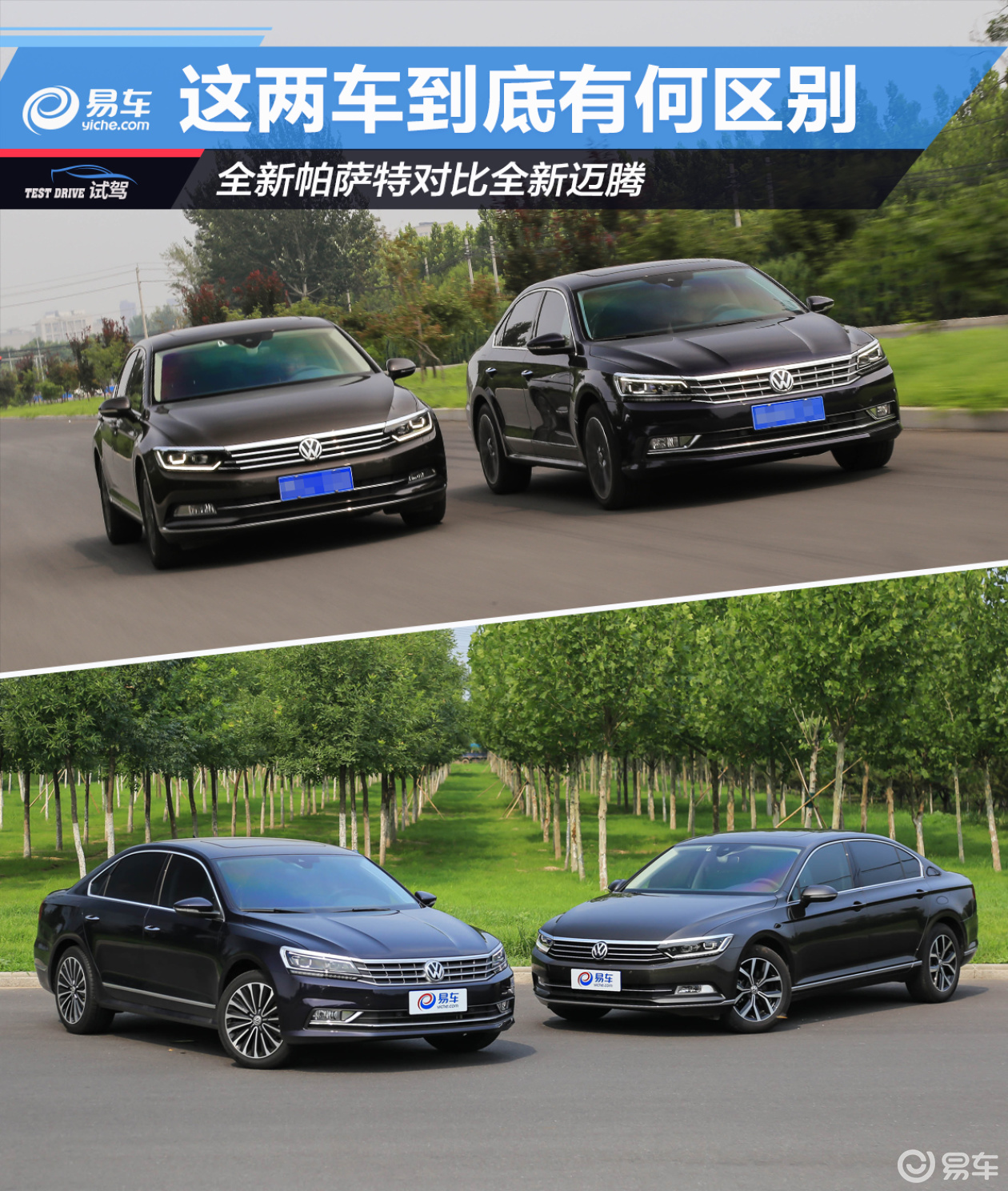 全新帕萨特对比全新迈腾