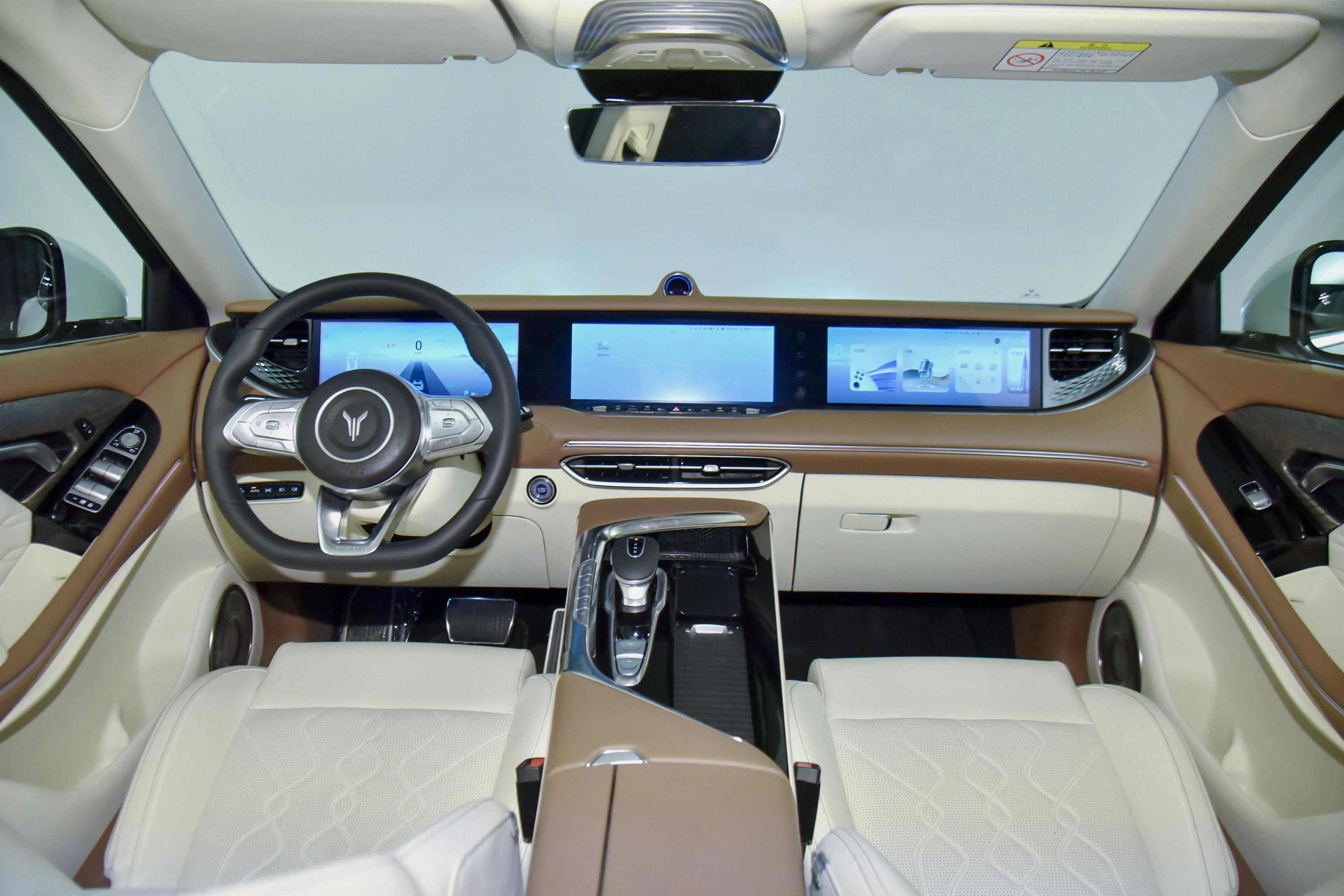 2021款岚图free纯电版四驱纯电版专属豪华套装