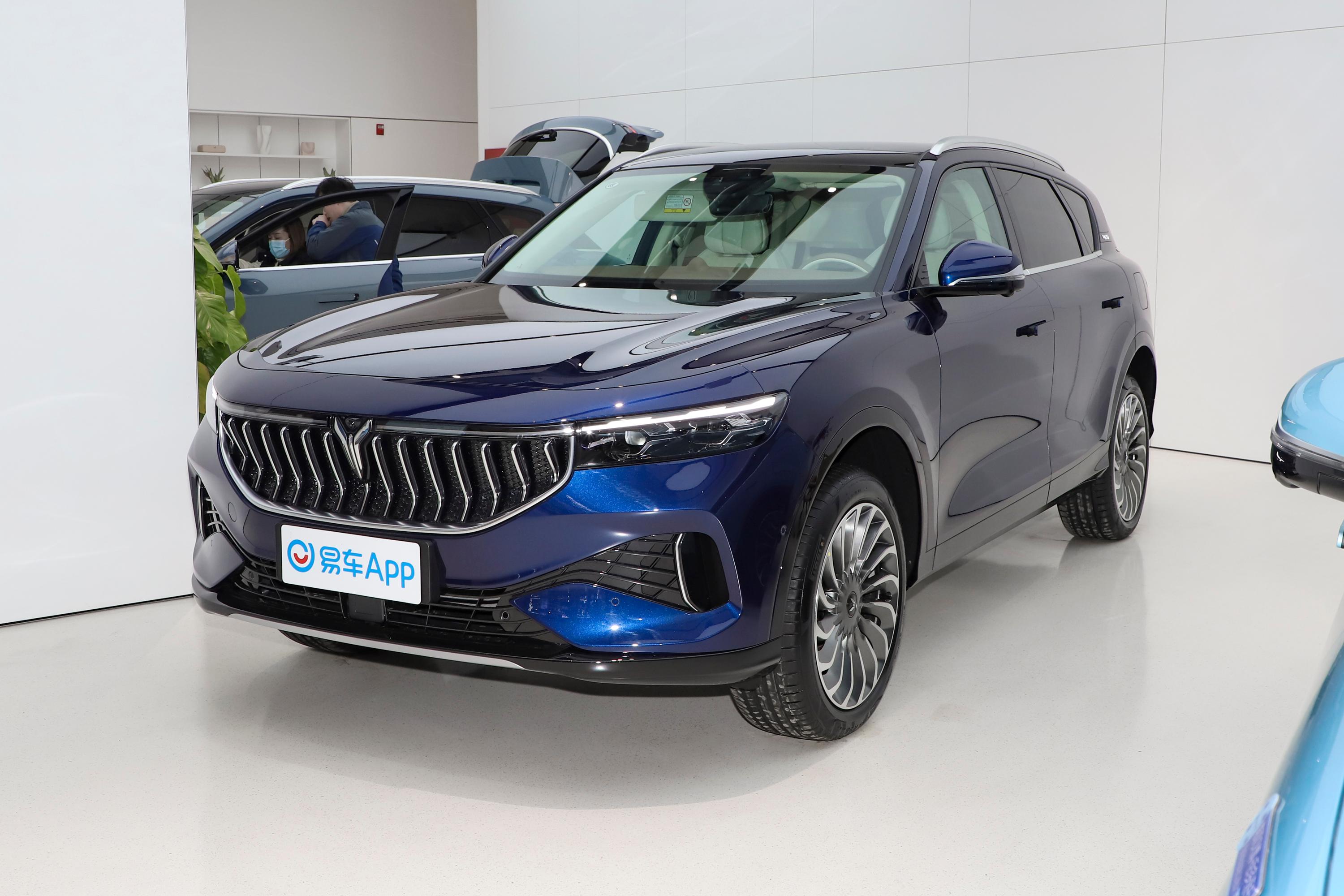 2021款岚图free纯电版四驱纯电版专属豪华套装