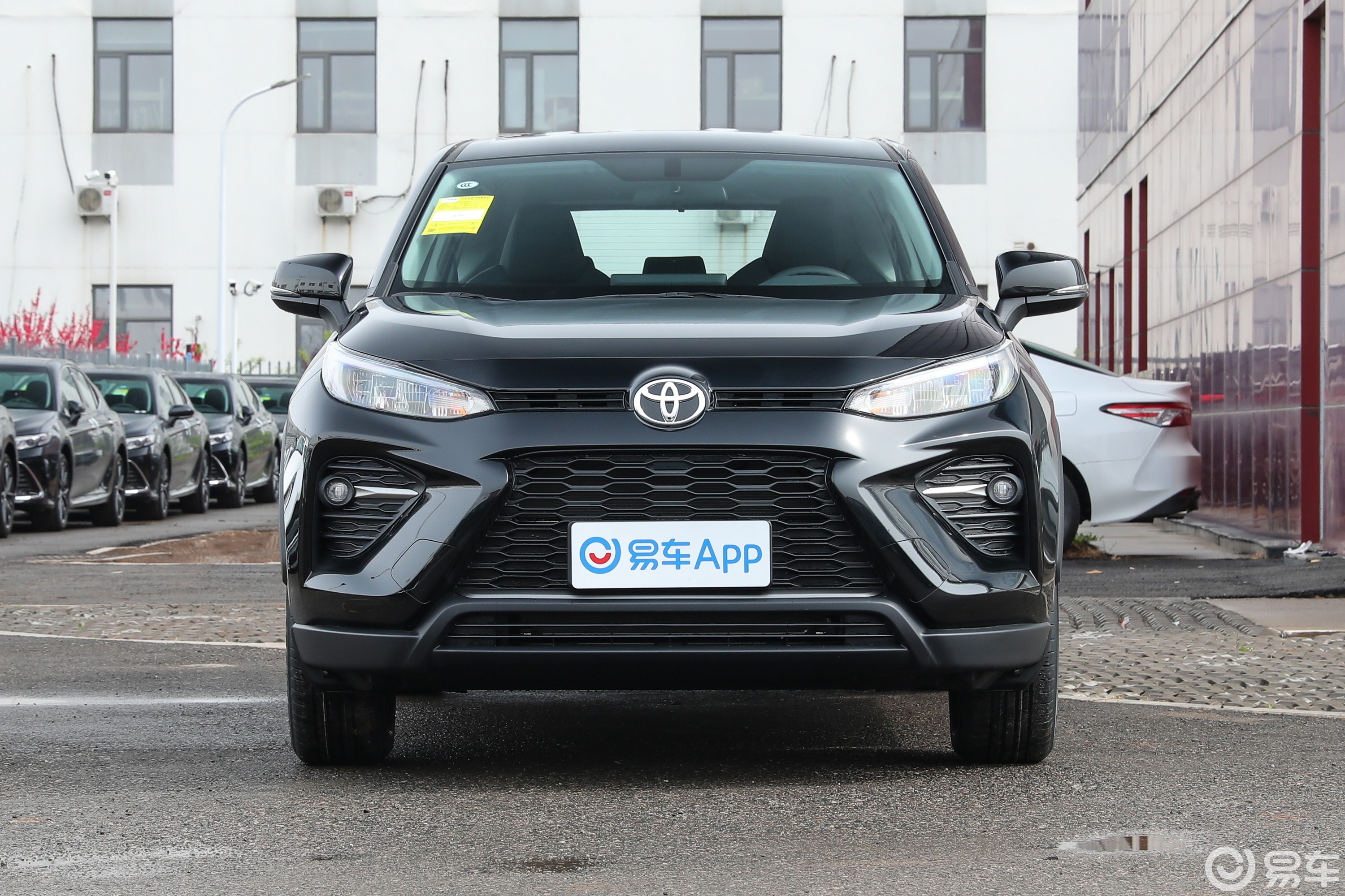 【威兰达2.0L 两驱领先版正前水平图片-汽车图片大全】-易车
