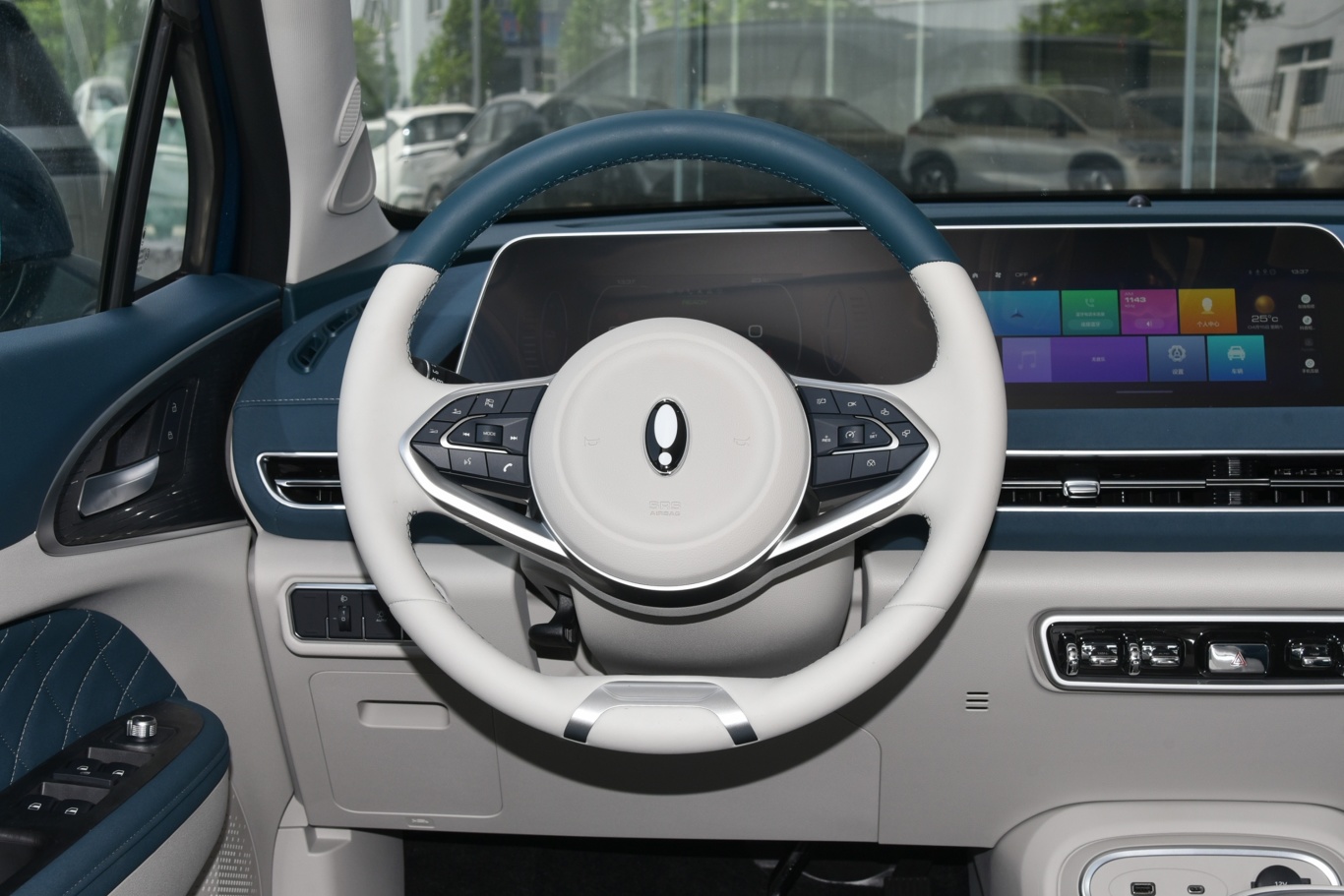 欧拉好猫401km 舒享型 磷酸铁锂方向盘