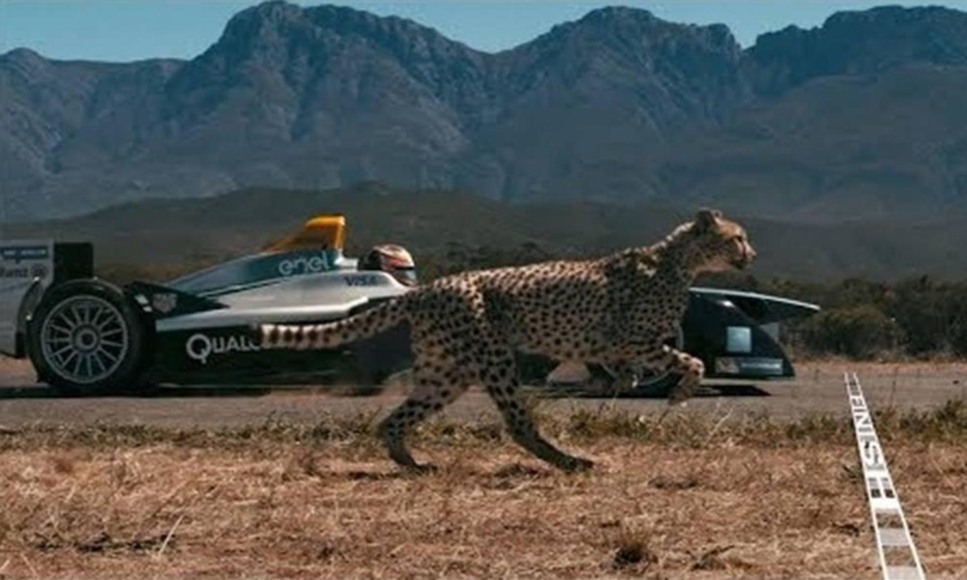 罕见,猎豹竟然实力碾压超跑,不愧是速度之王